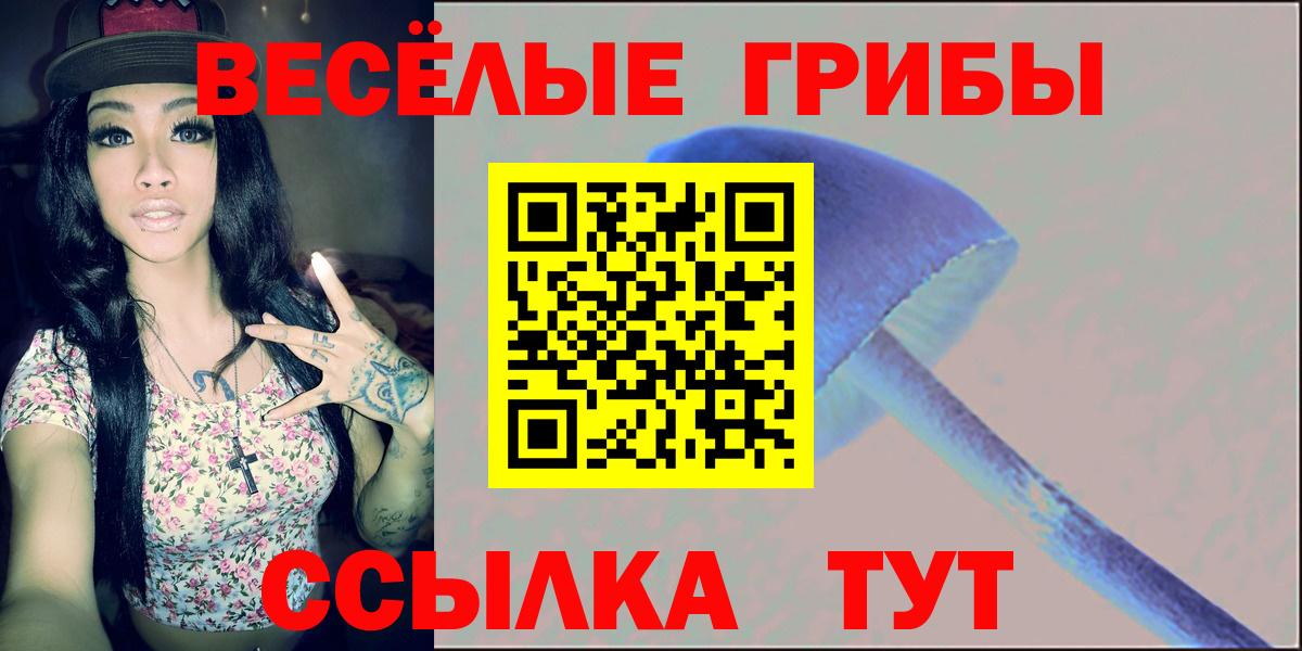 цены   Вход с VPN  Родники  Галлюциногенные грибы GOLDEN TEACHER 
